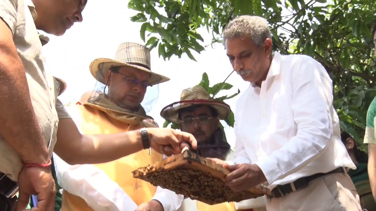 vlcsnap-2022-04-21-15h56m29s274