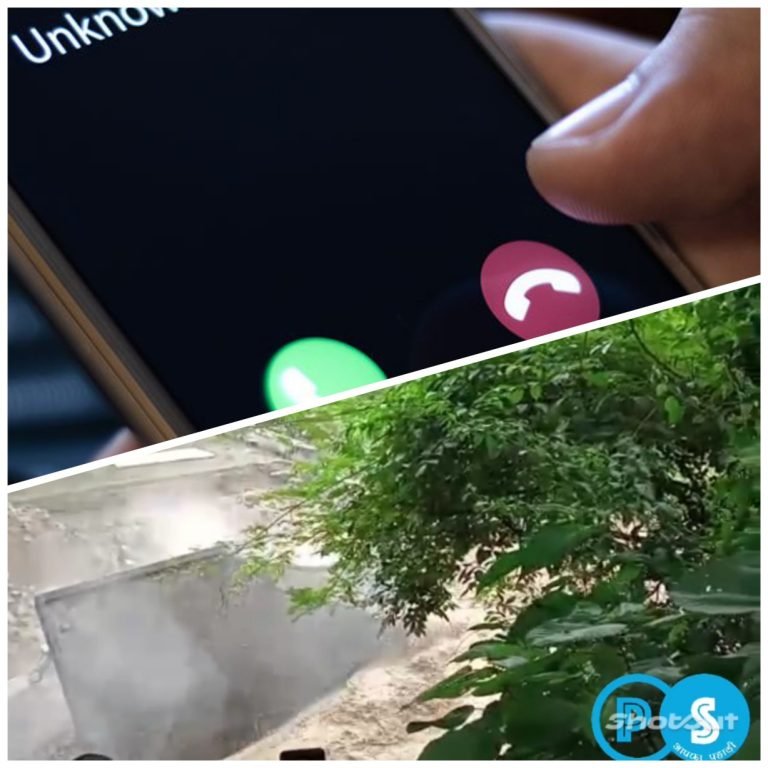 InCollage_20220821_203431635