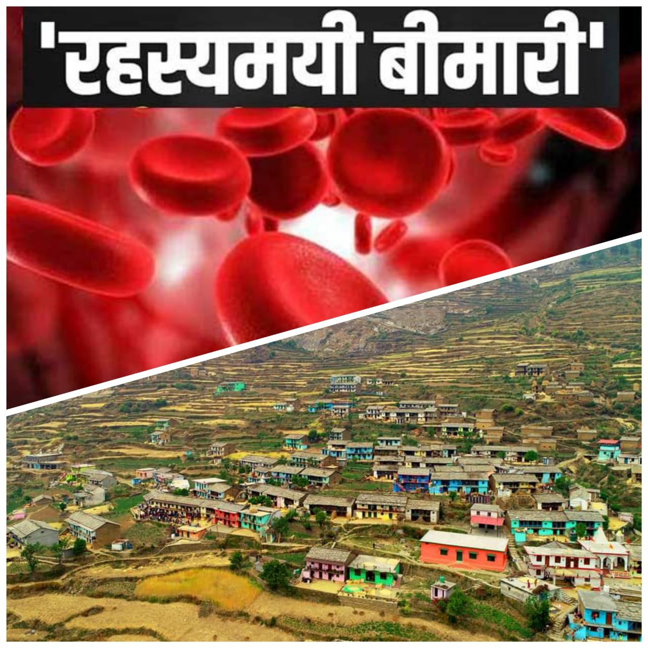 WhatsApp Image 2022-08-30 at 3.46.26 PM