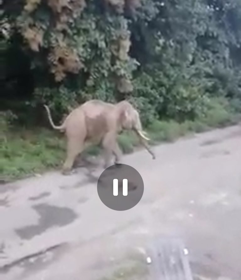 Screenshot_2022-10-11-13-22-55-62_7352322957d4404136654ef4adb64504