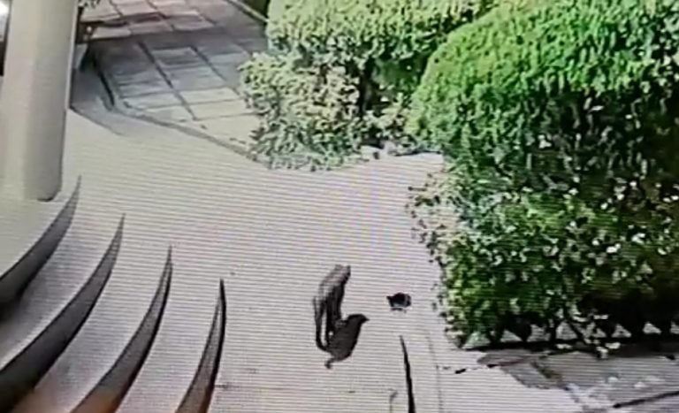 Screenshot_2022-12-18-20-26-48-27_c1ebbaff44ba152fb7f7c2e1f7129fd1