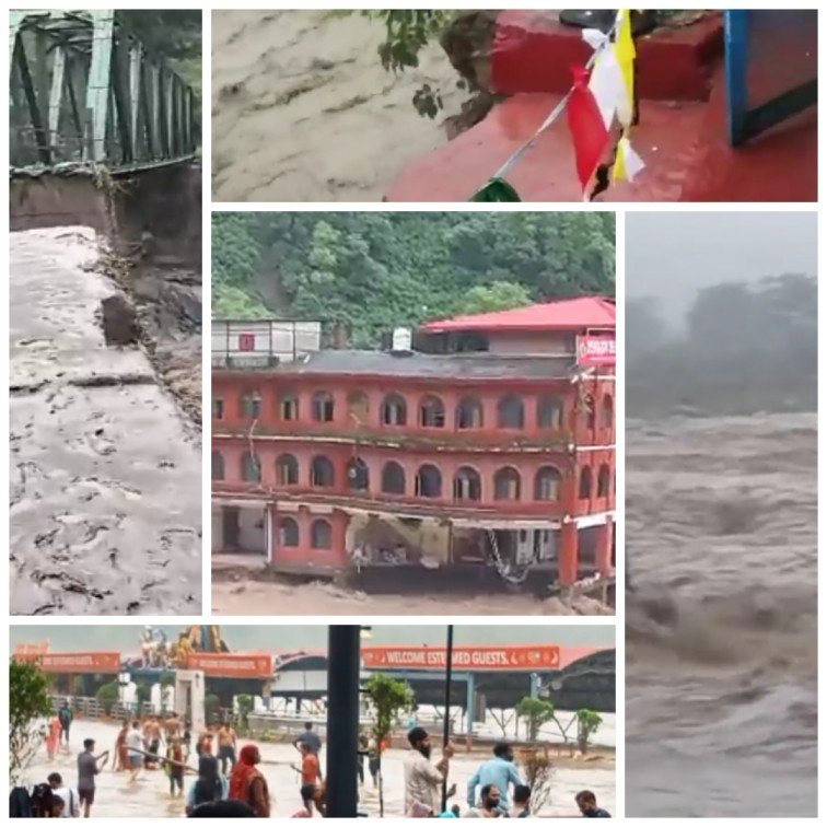 Collage-14-08-2023 10.00.03