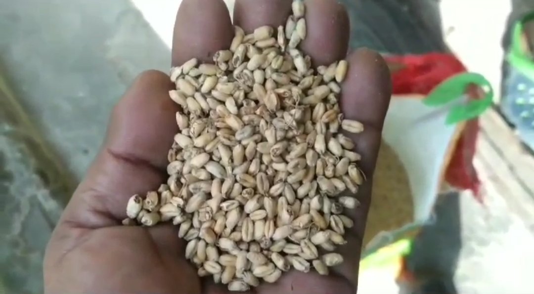 Screenshot_2023-11-22-11-47-19-70_99c04817c0de5652397fc8b56c3b3817